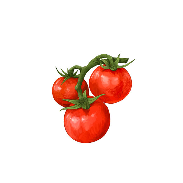 Tomaten