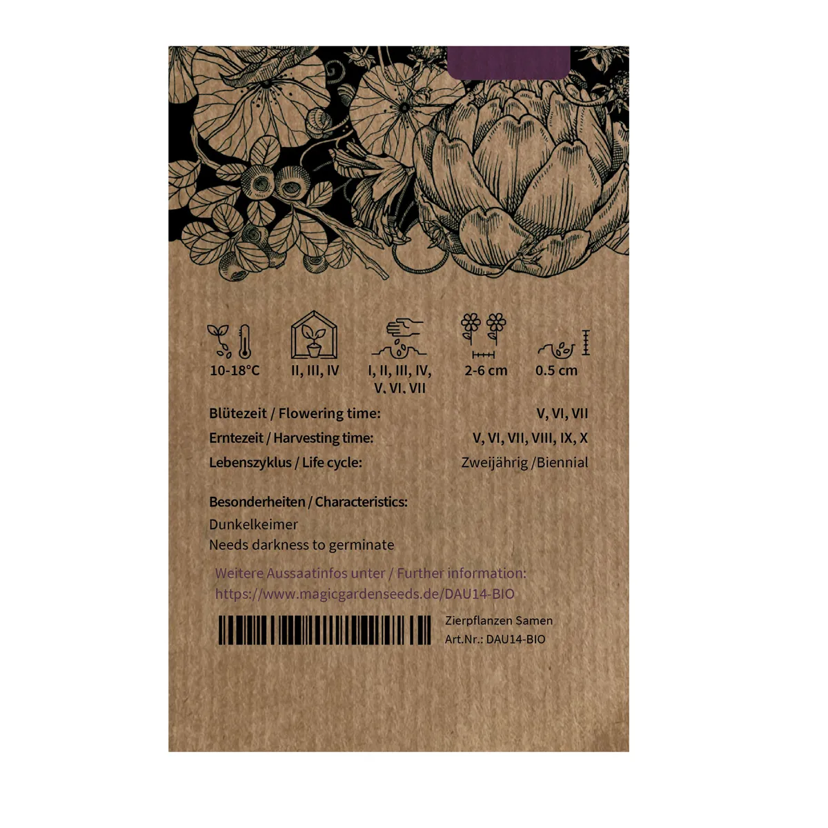 Violette Karotte 'Gniff' (Daucus carota) Bio-Saatgut