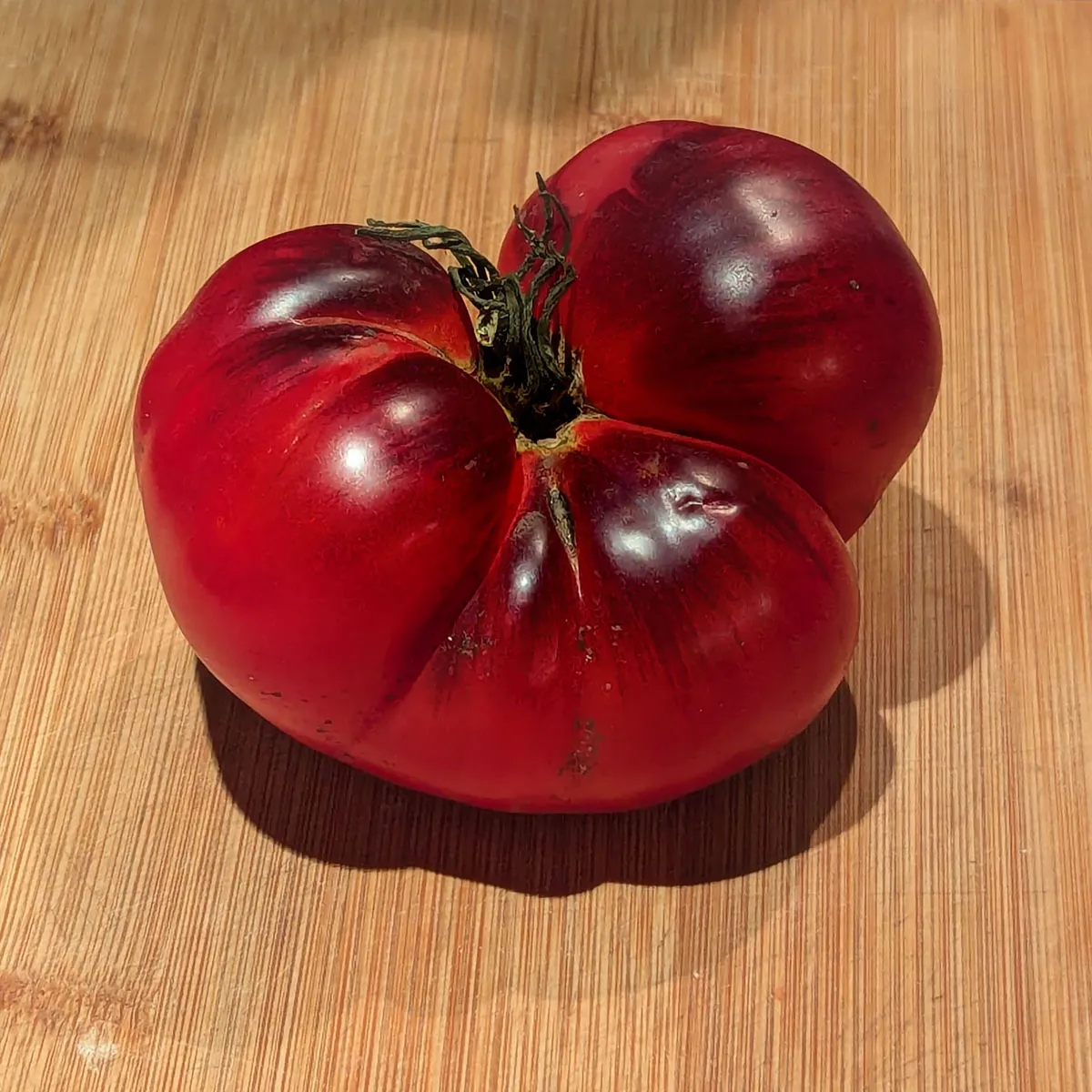 Fleischtomate 'Siberian Tiger' (Solanum lycopersicum) Samen