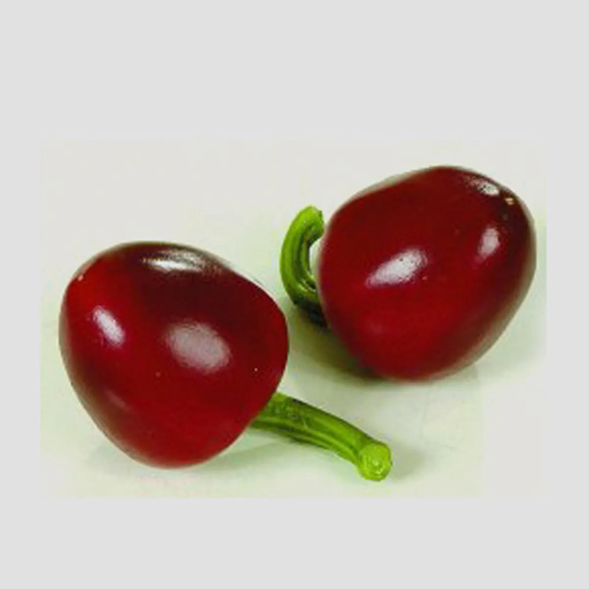 Chili 'Cascabel' (Capsicum annuum) Samen