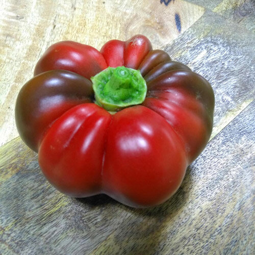 Rote, gerippte Tomatenpaprika auf einem Holztisch