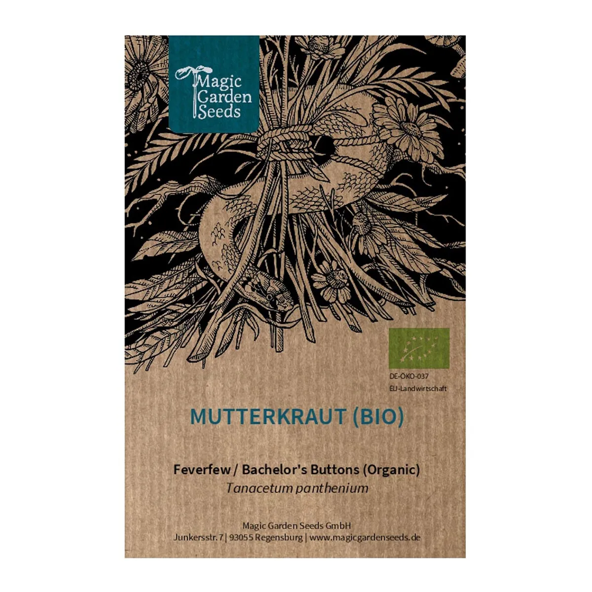Mutterkraut (Tanacetum panthenium) Samen