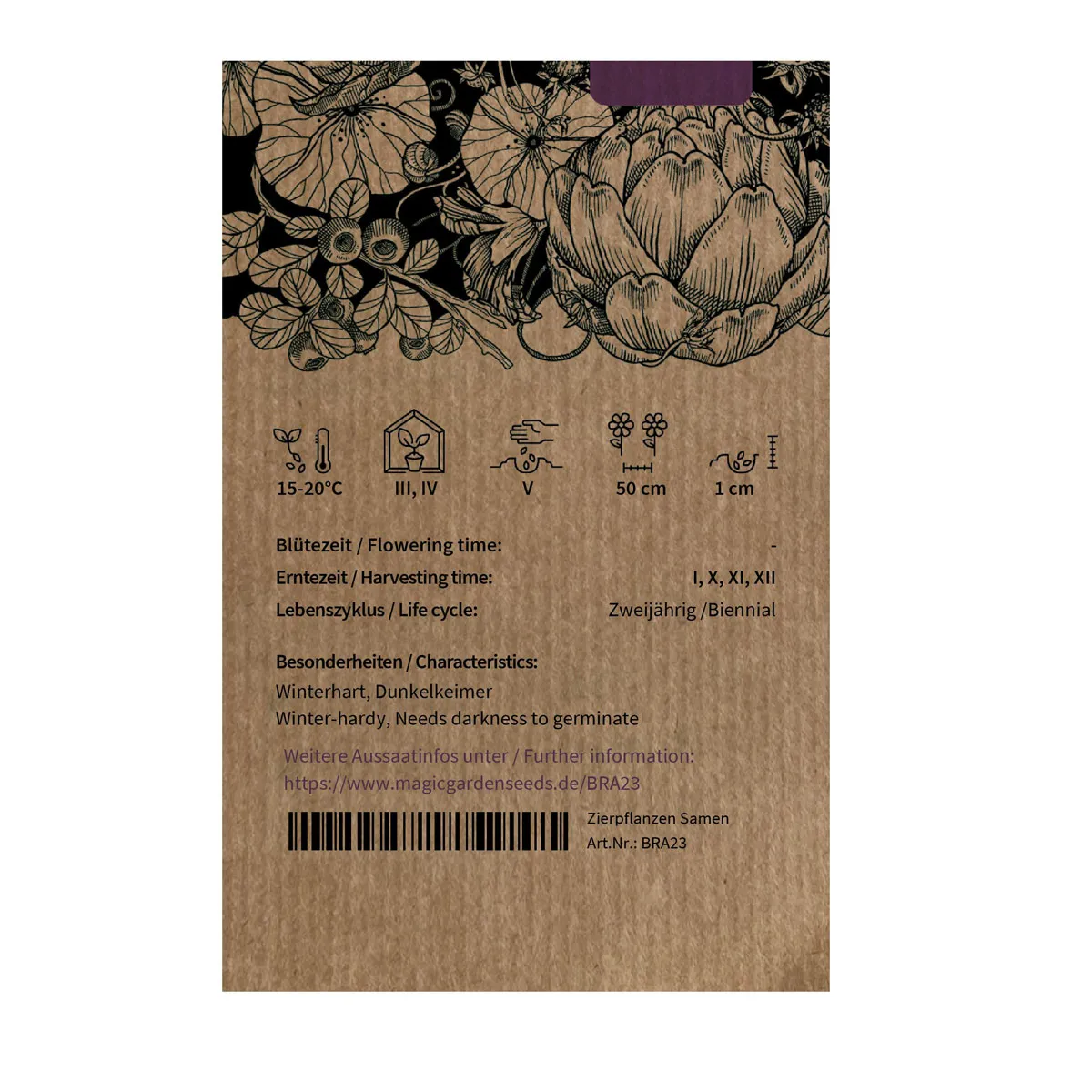 Kohlröschen (Brassica oleracea var. gemmifera x sabellica) Samen
