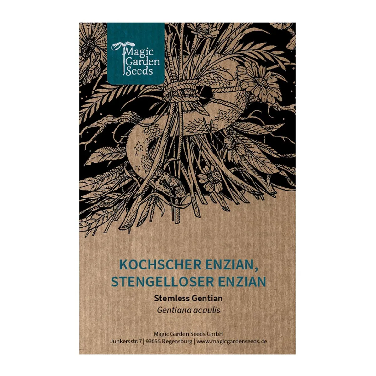 Kochscher Enzian / Stengelloser Enzian (Gentiana acaulis) Samen