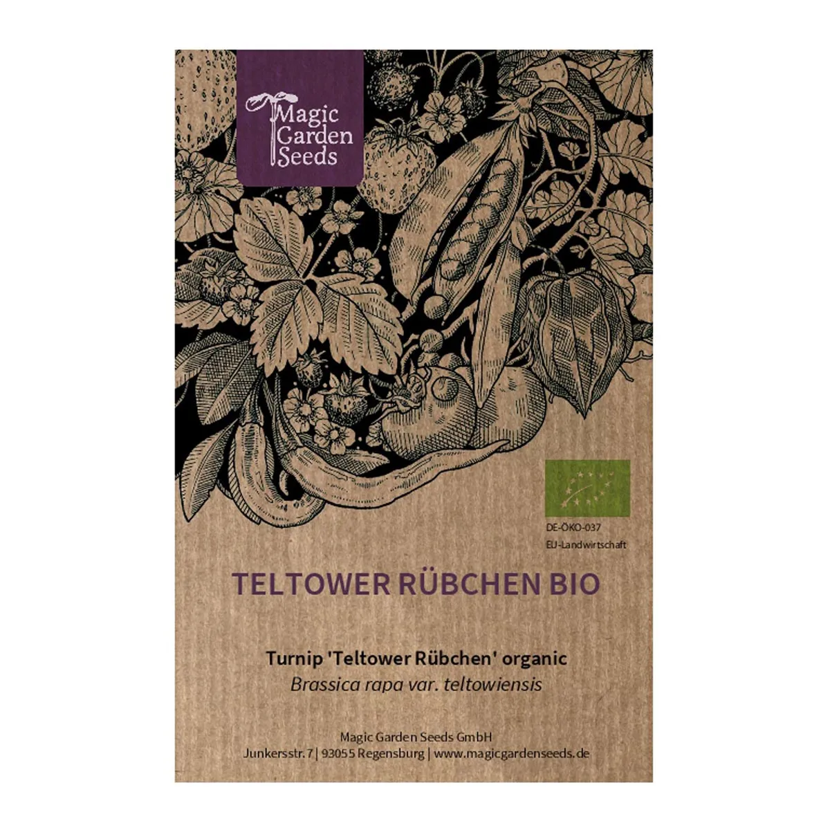 Teltower Rübchen (Brassica rapa var. teltowiensis) Bio Saatgut