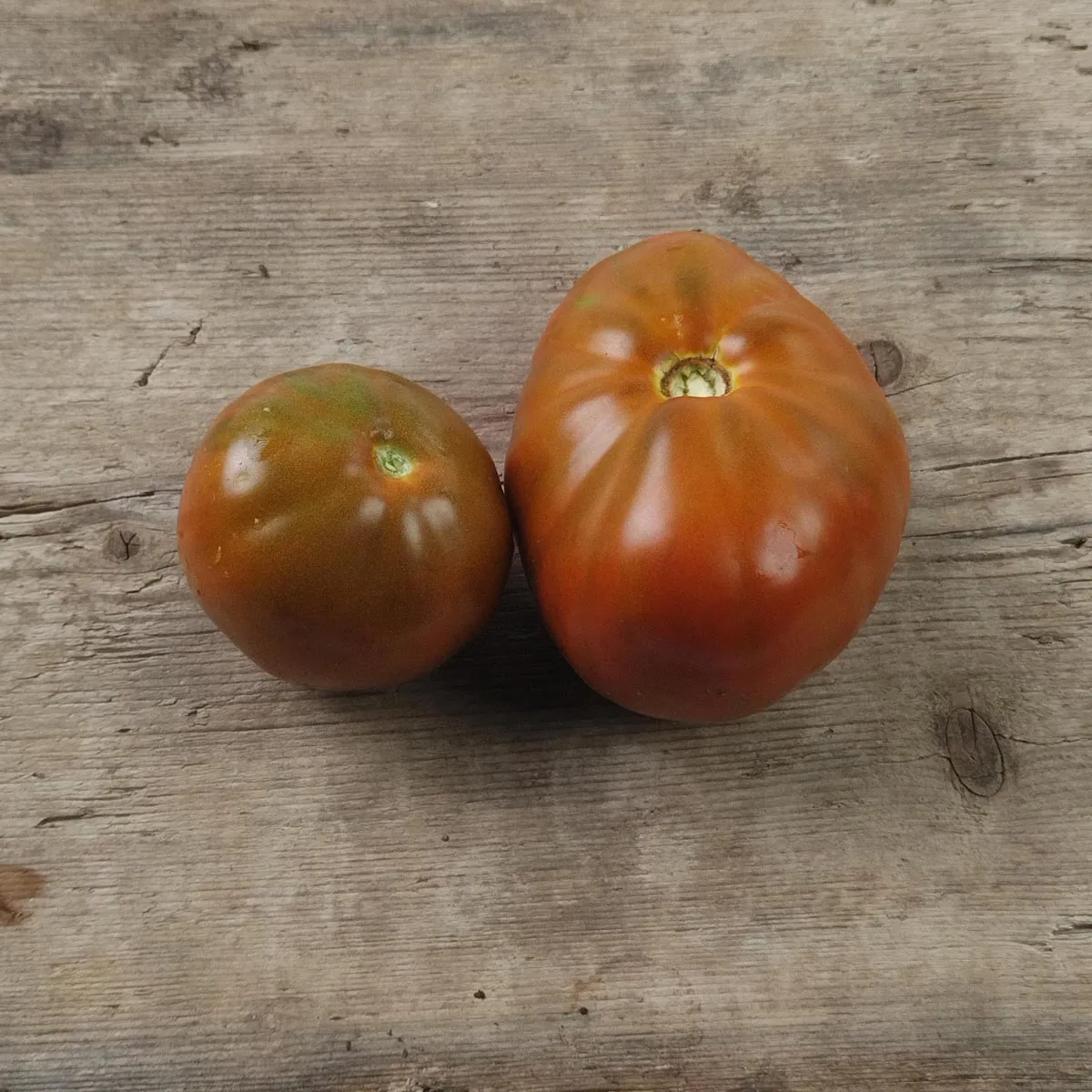 Tomate 'Black Pear' (Solanum lycopersicum) Samen