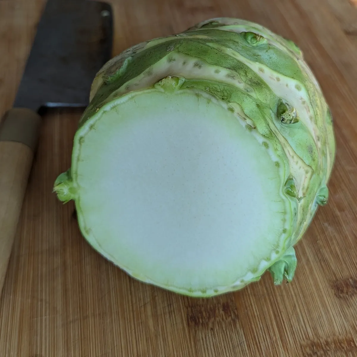 Kohlrabi 'Superschmelz' (Brassica oleracea var. gongylodes) Bio Saatgut