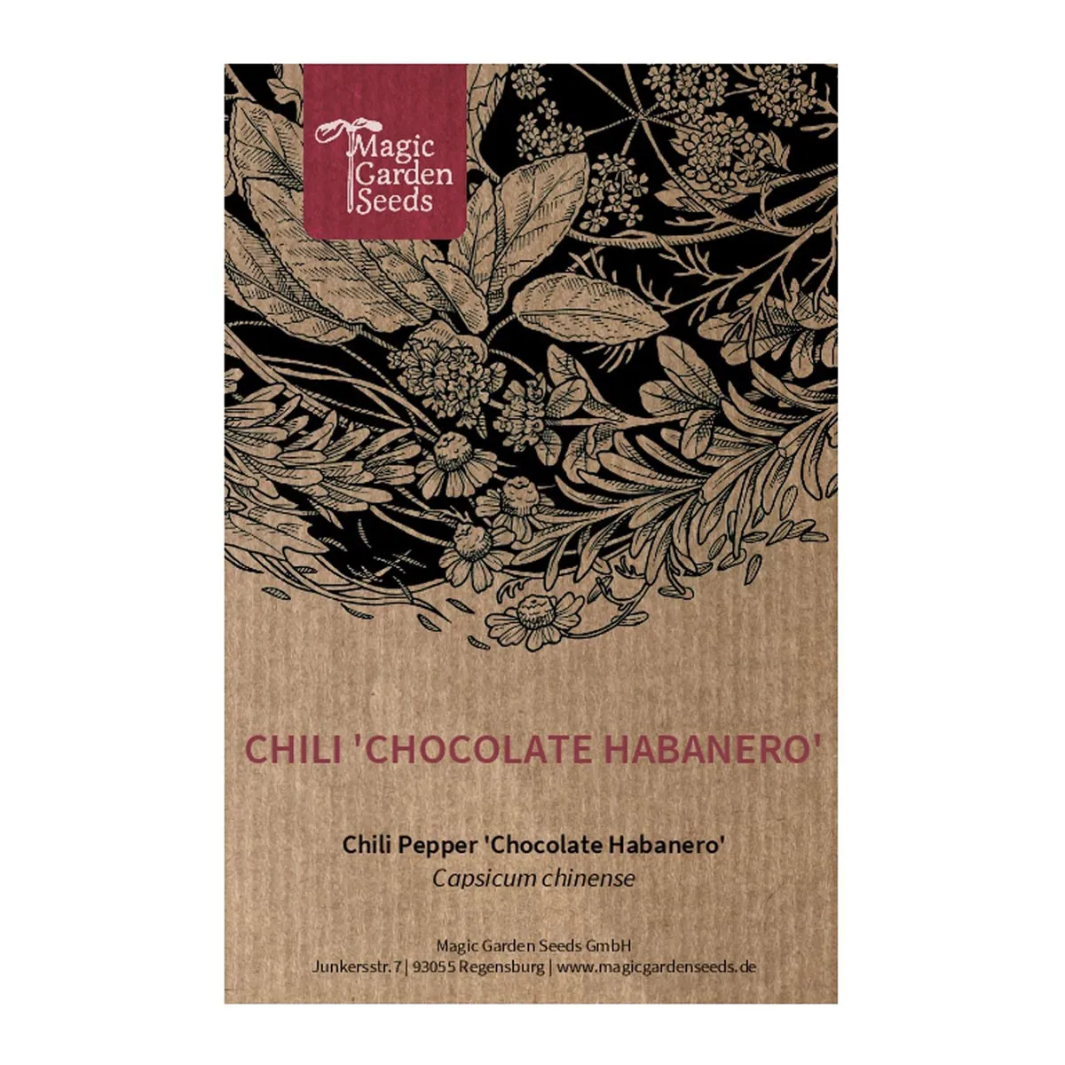 Chili 'Chocolate Habanero' (Capsicum chinense) Samen