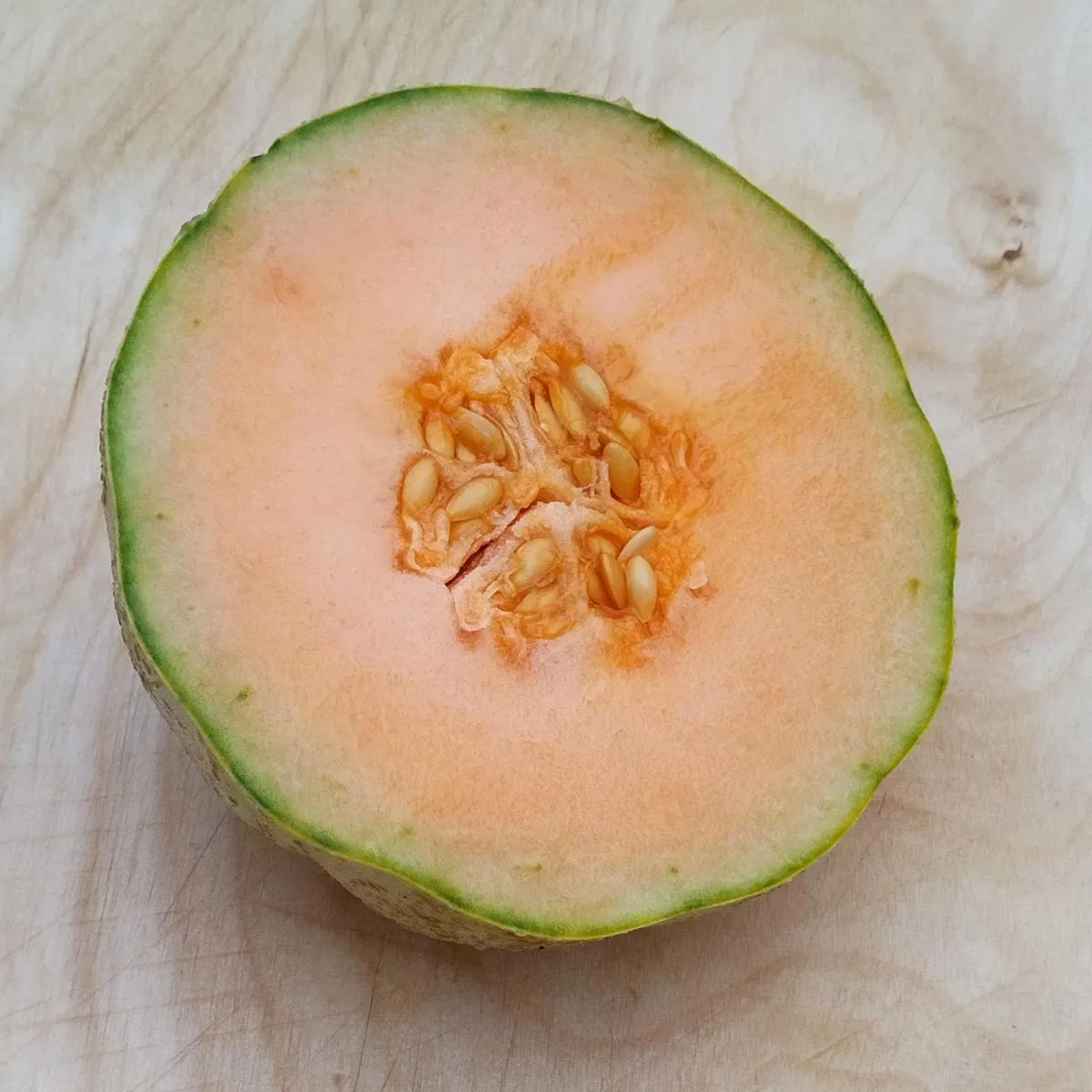 Cantaloupe Zuckermelone 'Charentais' (Cucumis melo) Samen