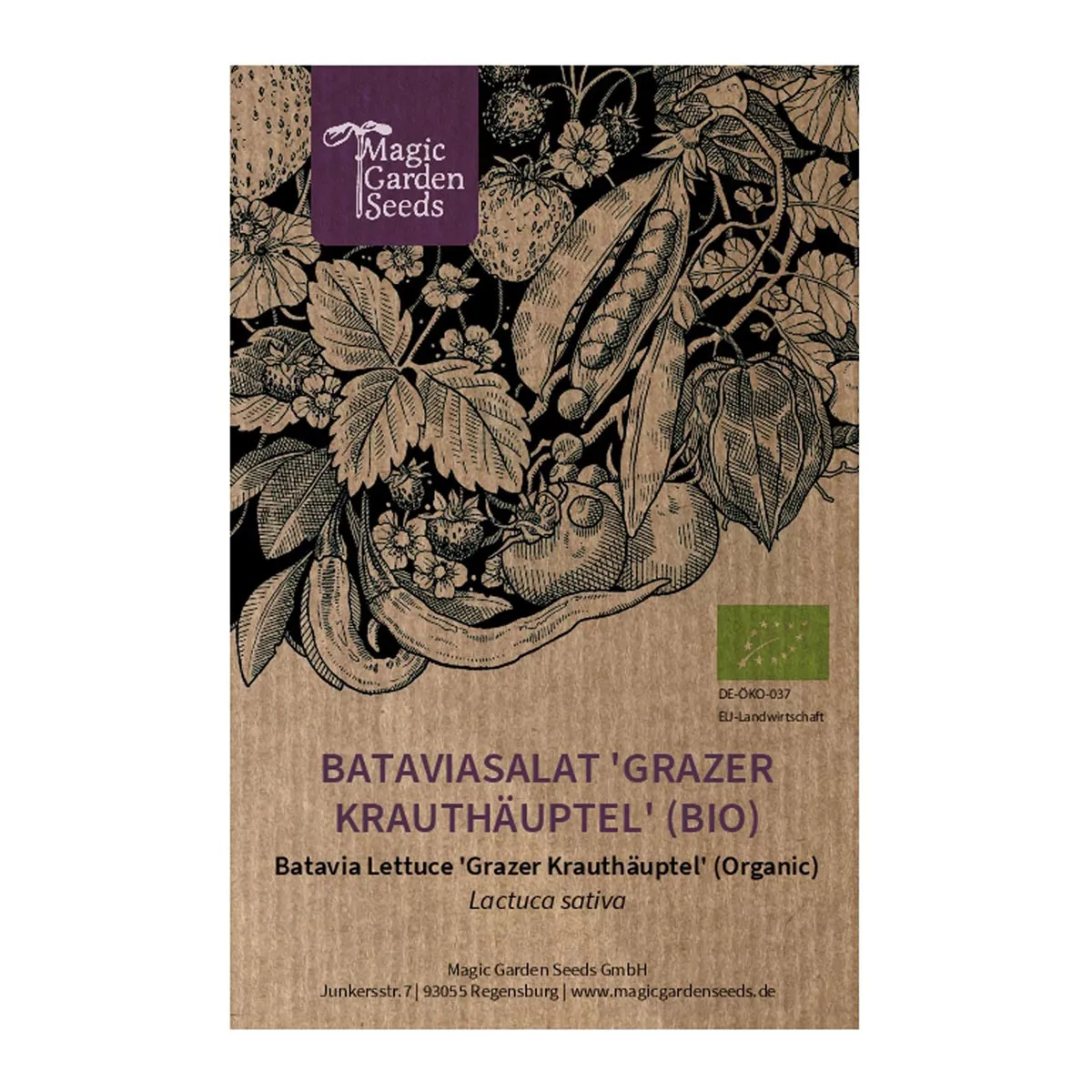 Bataviasalat 'Grazer Krauthäuptel' (Lactuca sativa) Bio Saatgut