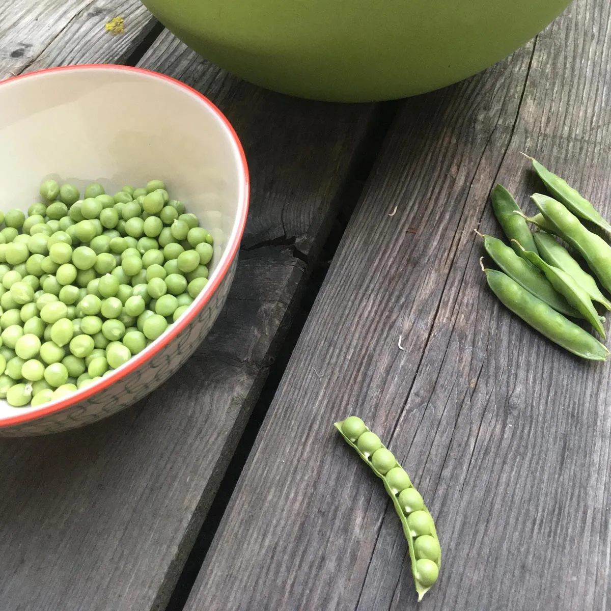 Zuckererbse 'Frühe Heinrich' (Pisum sativum) Samen