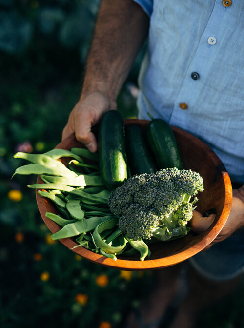 Holzschale mit frisch geerntetem Sommergemüse: flache grüne Bohnen, Zucchini und Brokkoli