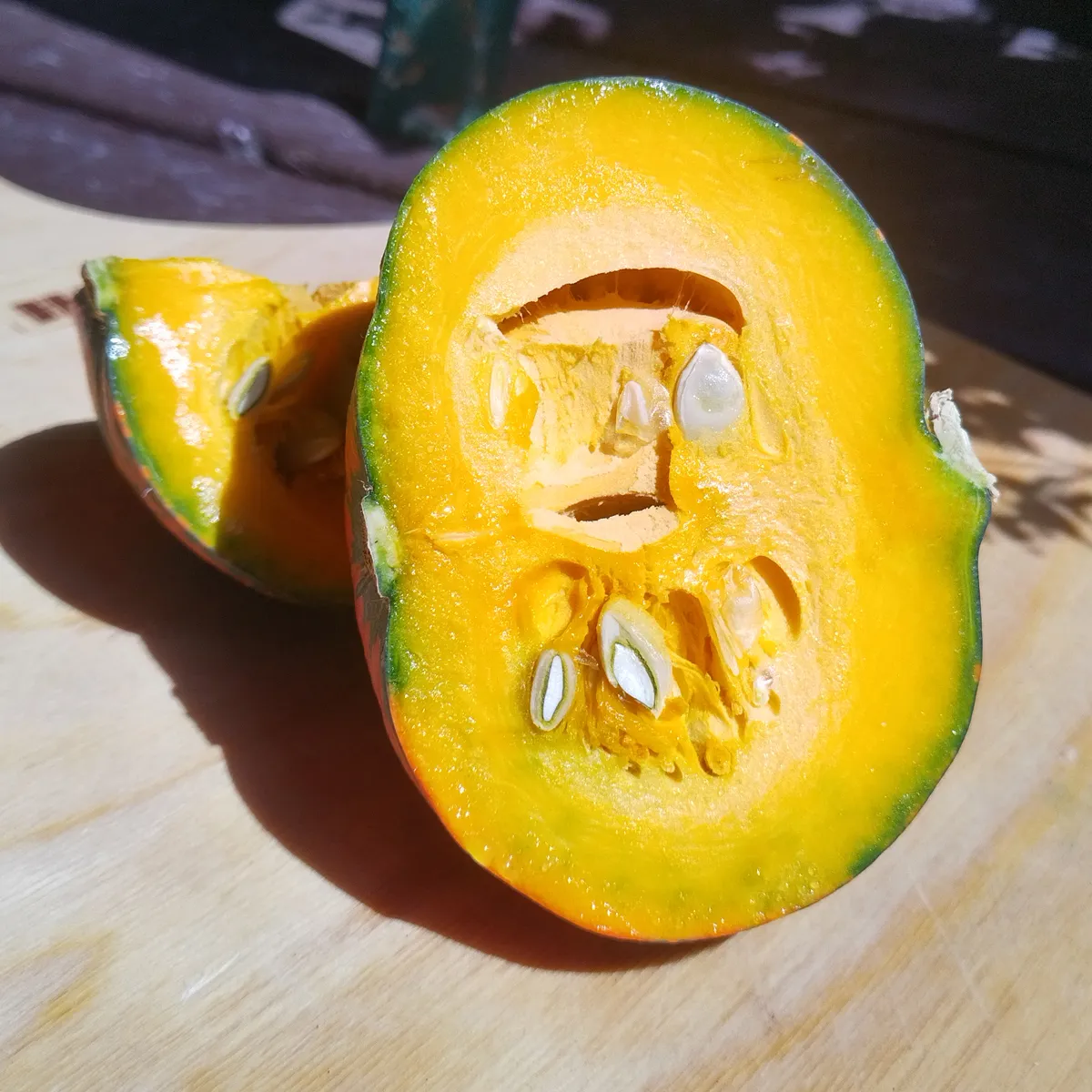 Kürbis 'Golden Nugget' (Cucurbita maxima) Samen