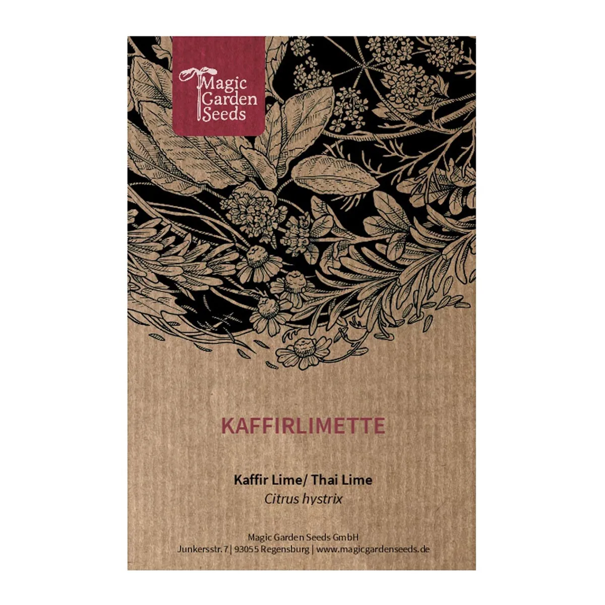 Makrut-Limette (Citrus hystrix) Samen