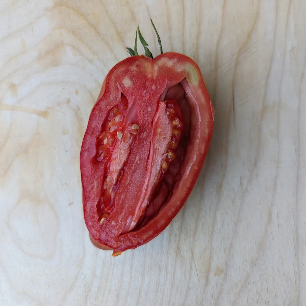 Tomate 'Andenhorn' (Solanum lycopersicum) Samen