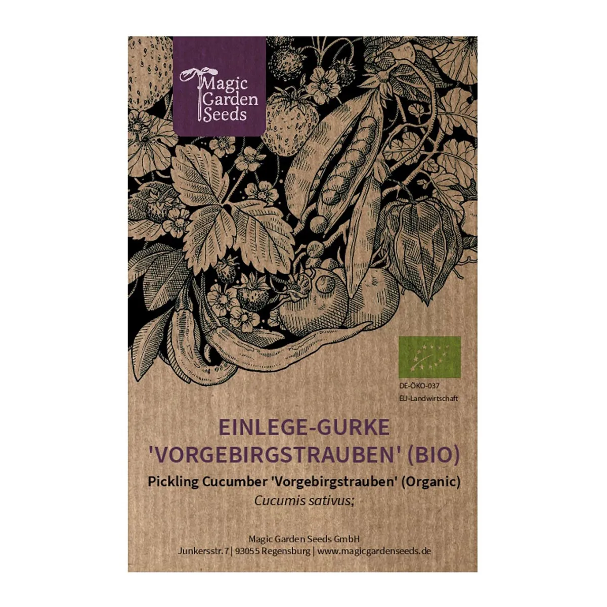 Einlege-Gurke 'Vorgebirgstrauben' (Cucumis sativus) Bio Saatgut