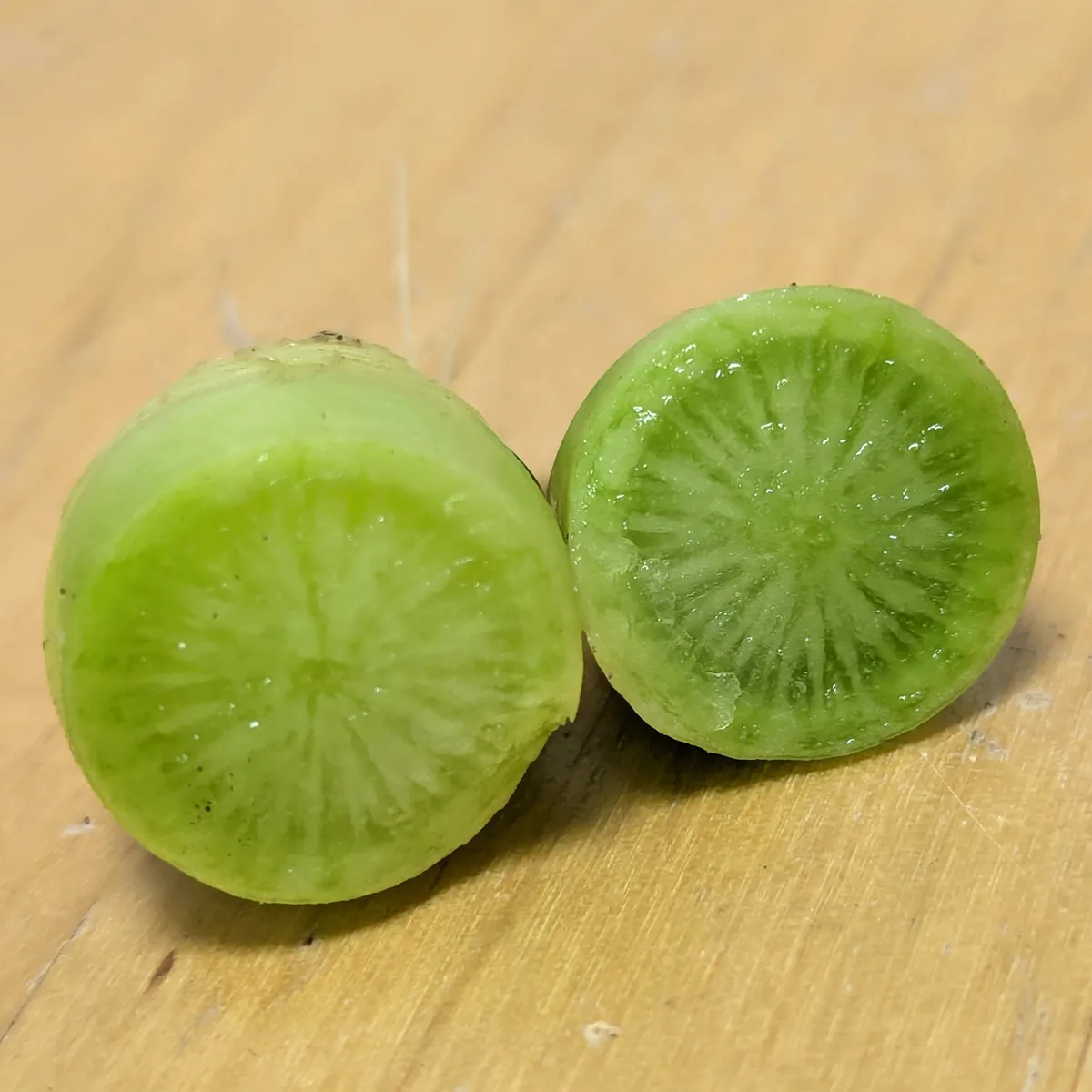 Grüner Rettich 'Green Luobo' (Raphanus sativus) Samen