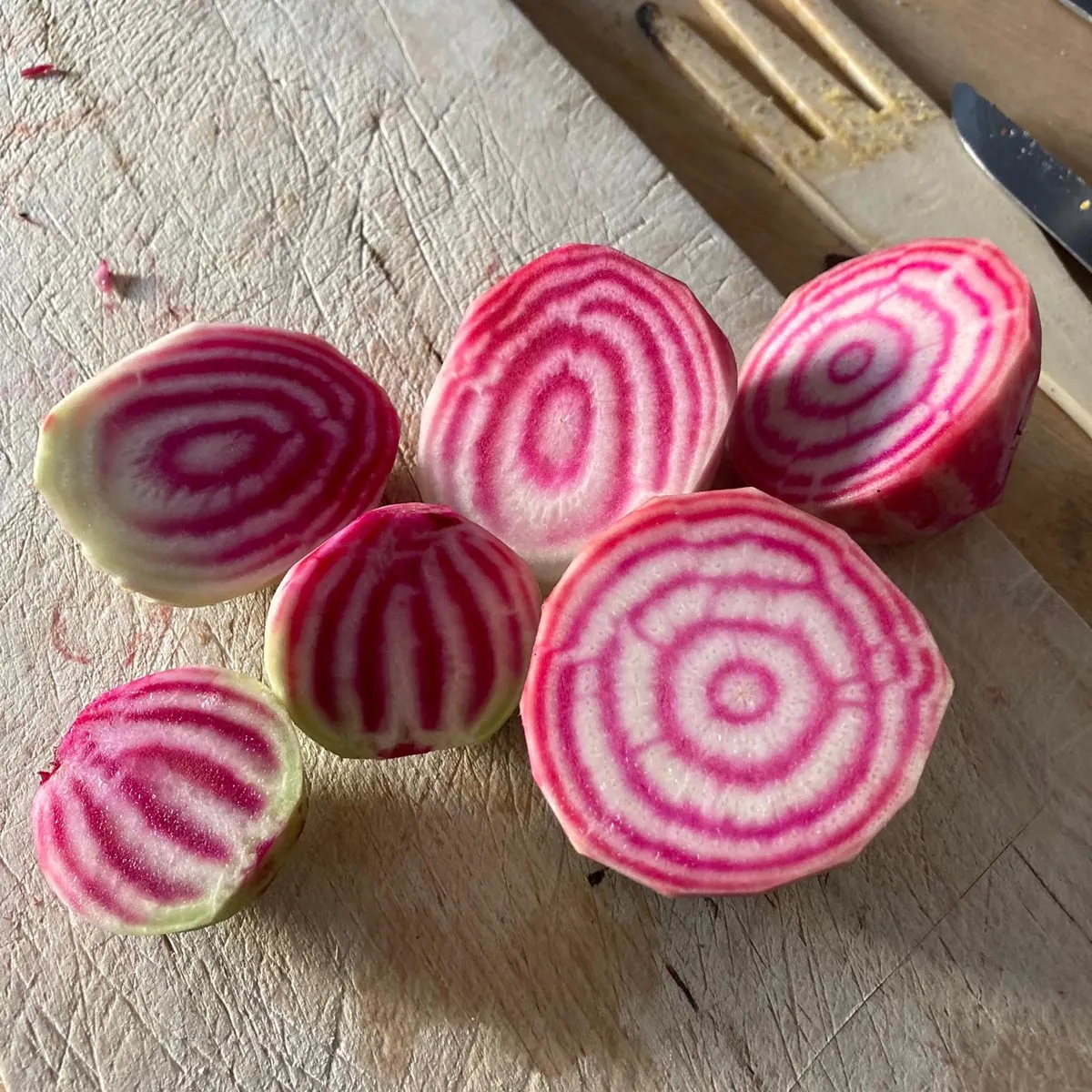Rote Bete 'Tonda di Chioggia' (Beta vulgaris) Samen