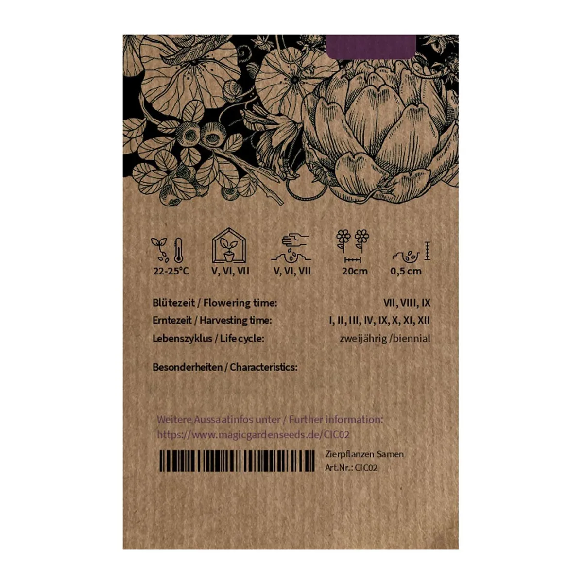 Orchideensalat / Radicchio 'Variegata di Castelfranco' (Cichorium intybus var. foliosum) Samen