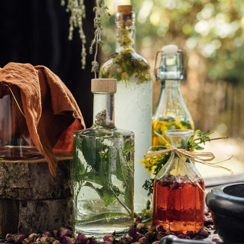 In Essig und Öl eingelegte Kräuter und Blüten in Glasflaschen