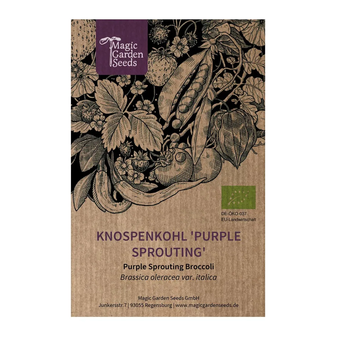 Knospenkohl 'Purple Sprouting' (Brassica oleracea var. italica) Bio Saatgut