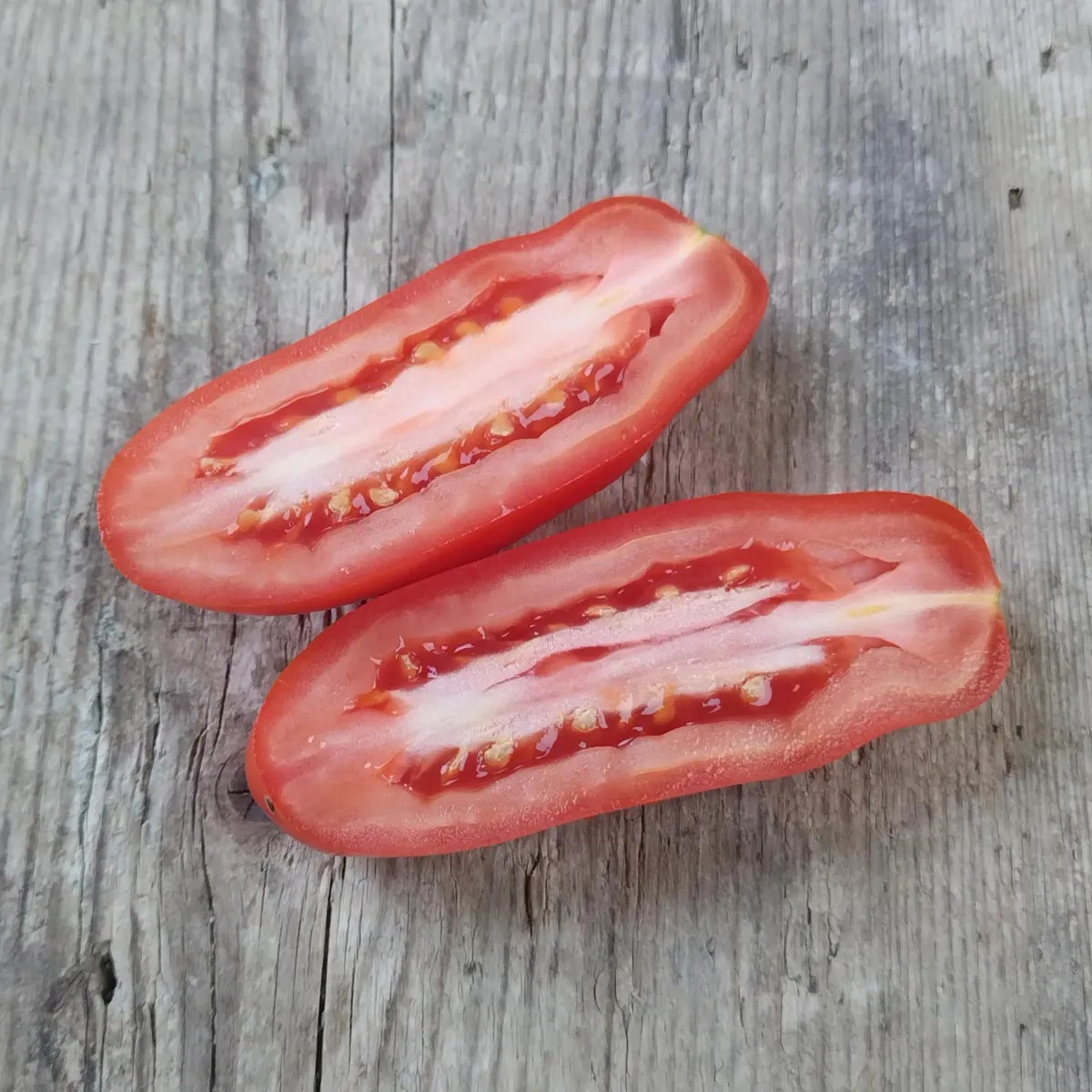 Tomate 'San Marzano' (Solanum lycopersicum) Samen