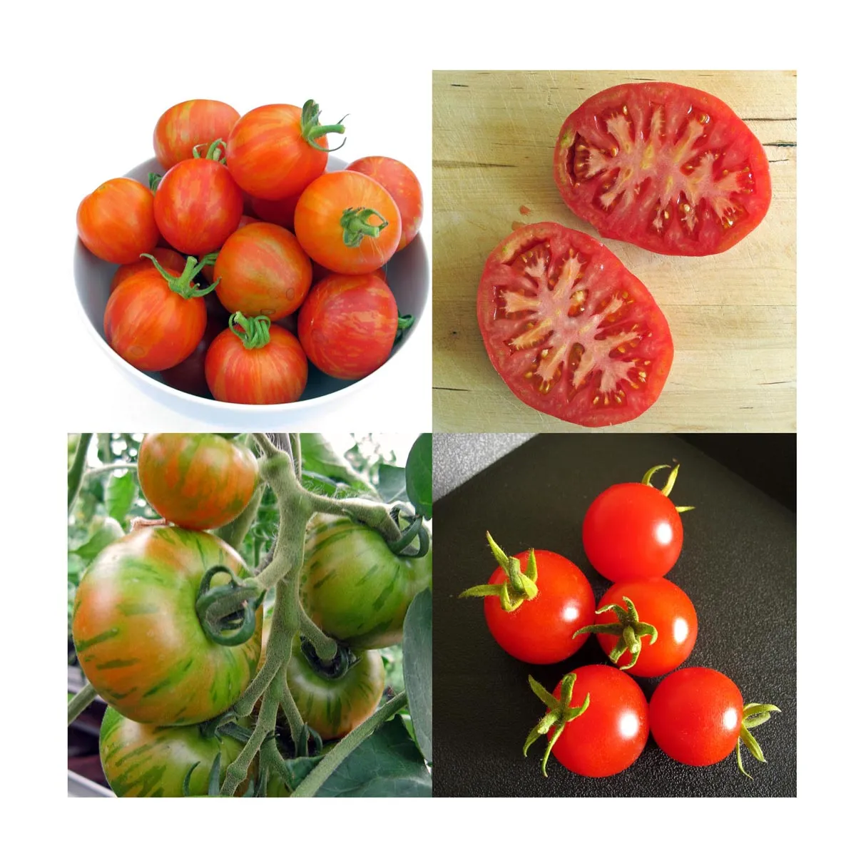 Besondere alte Tomatensorten - Samen-Geschenkset