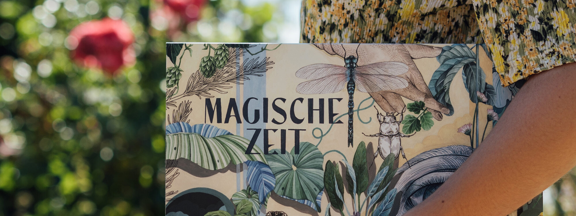 Schachtel des Bio-Saatgut-Adventskalenders „Magische Zeit“ Wundersame Kräuterwelt mit Libelle und Käfer
