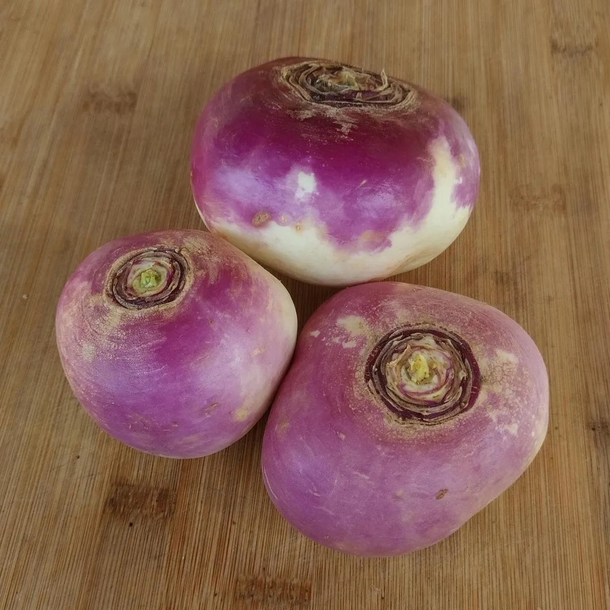Herbstrüben 'Runde, Weiße, Rotköpfige' (Brassica rapa ssp. rapa) Samen