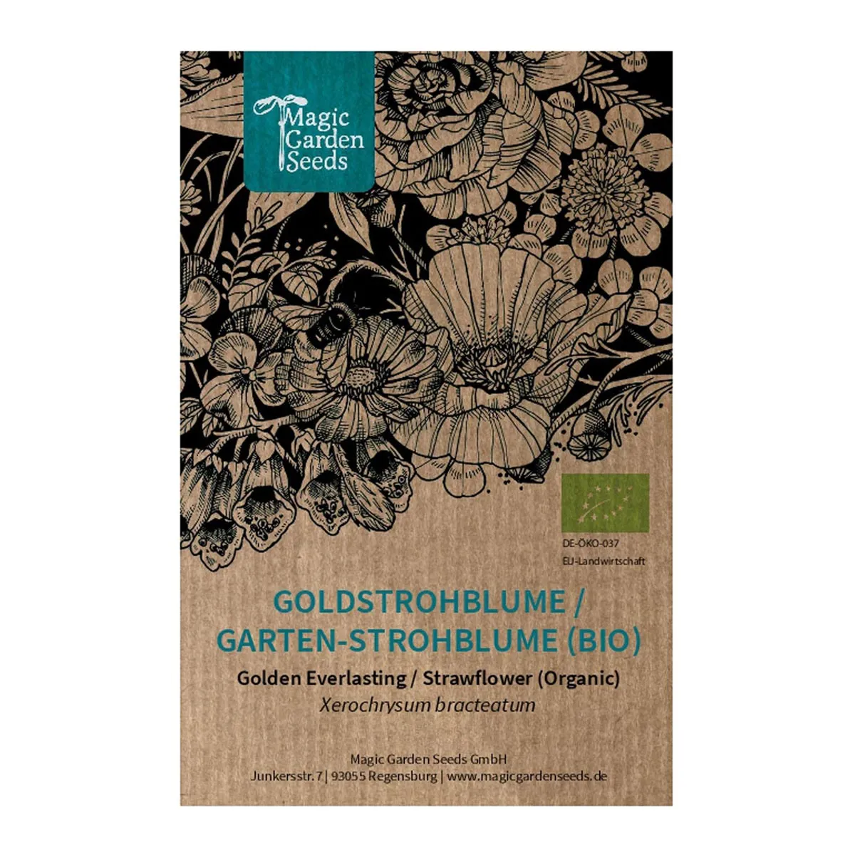 Goldstrohblume / Garten-Strohblume (Xerochrysum bracteatum) Bio Saatgut