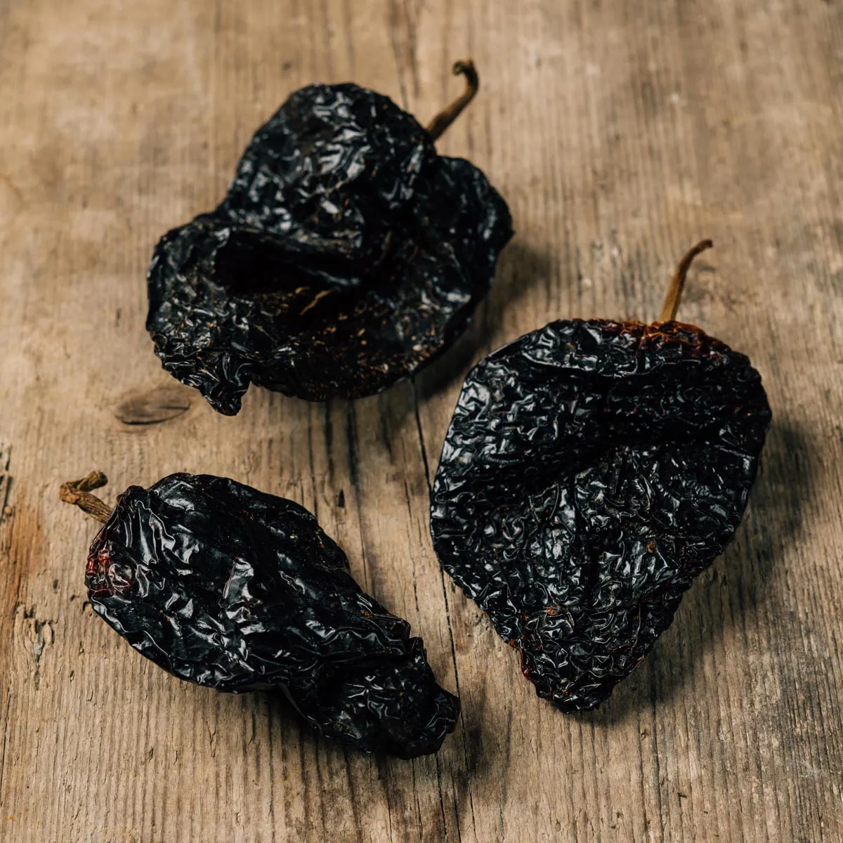 Poblano Chili 'Mulato Isleno' (Capsicum annuum) Samen