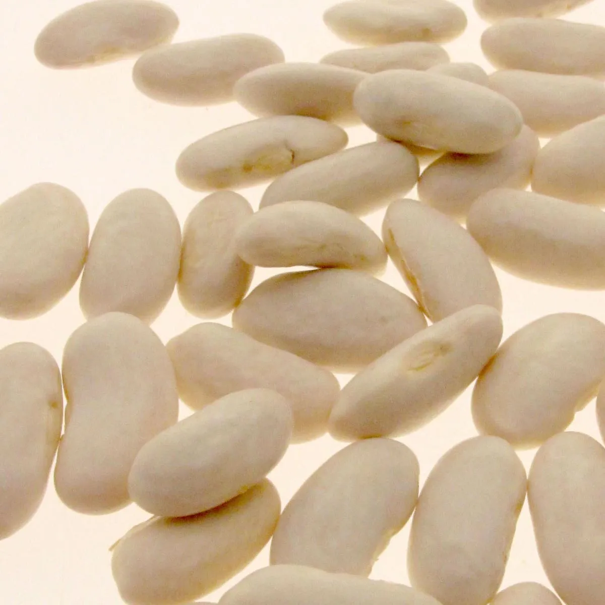 Stangenbohne 'Neckarkönigin' (Phaseolus vulgaris) Bio Saatgut