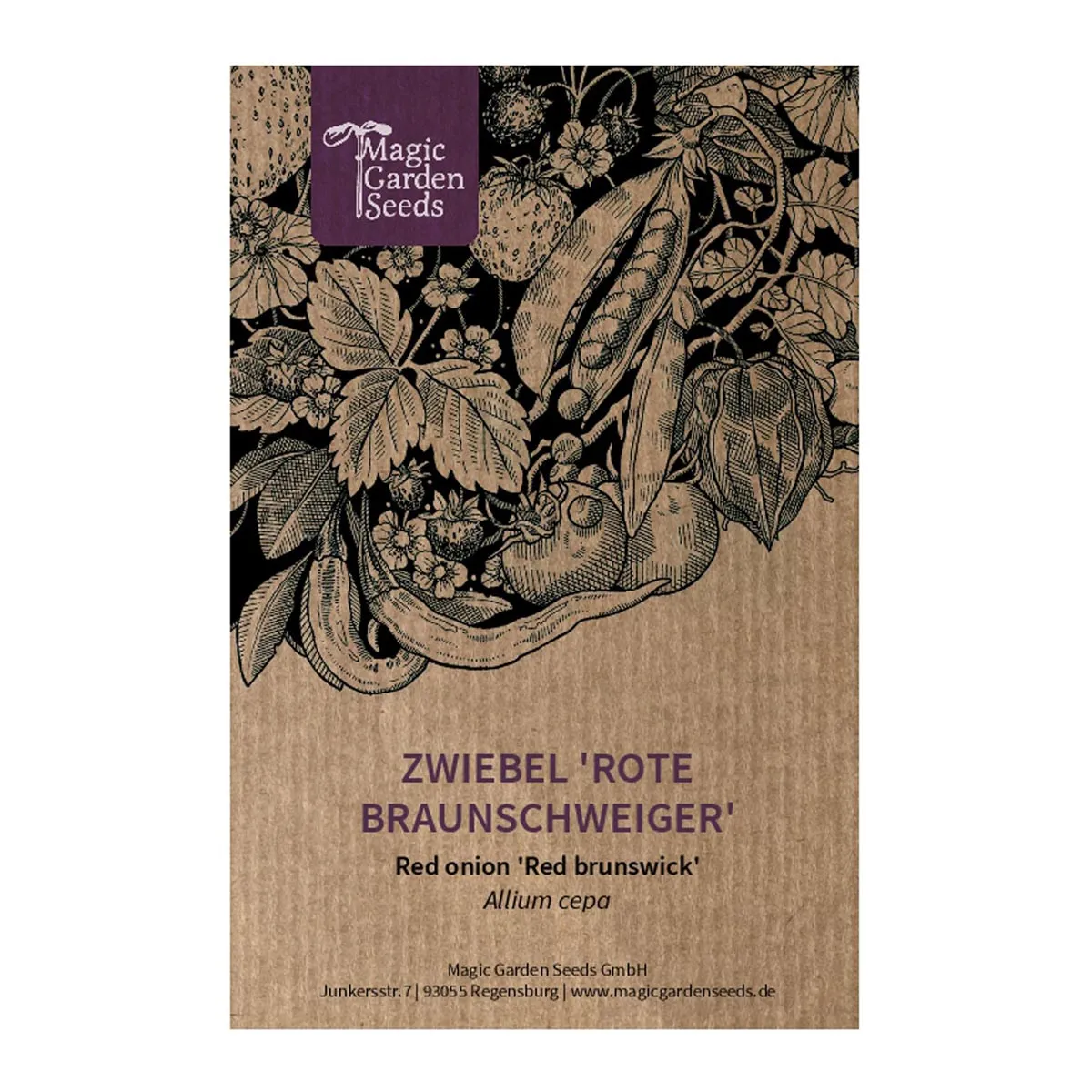 Zwiebel 'Rote Braunschweiger' (Allium cepa) Samen