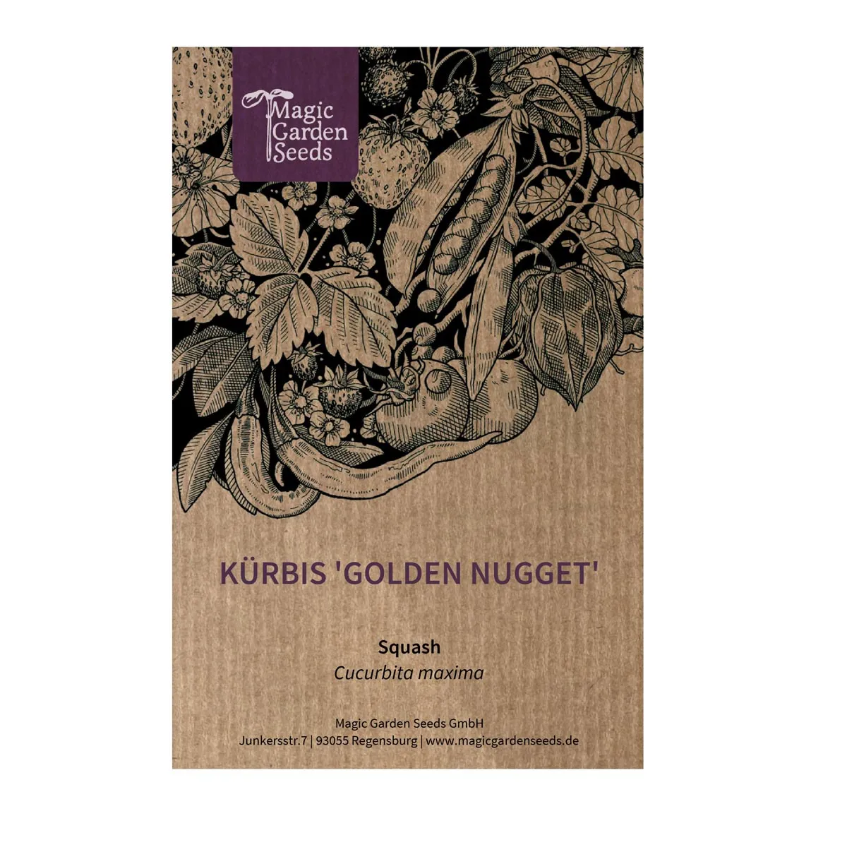 Kürbis 'Golden Nugget' (Cucurbita maxima) Samen