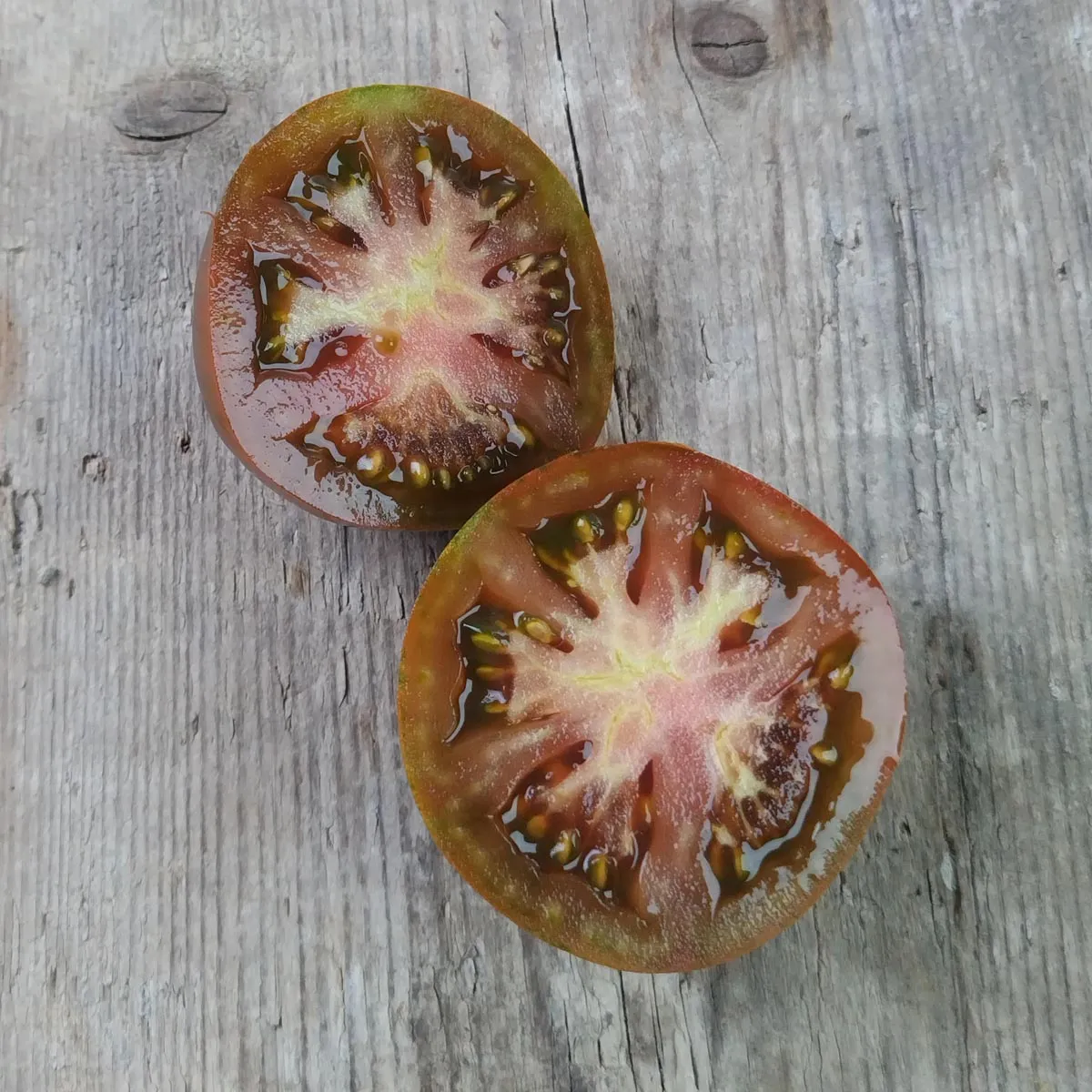 Tomate 'Schwarze Krim' (Solanum lycopersicum) Samen