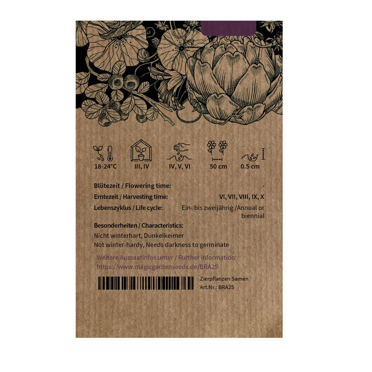 Violetter Blumenkohl 'Violetta di Sicilia' (Brassica oleracea var. botrytis) Samen
