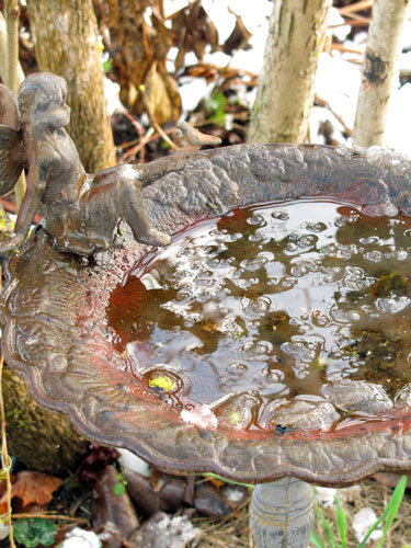 Verzierte Vogeltränke mit Figur und Wasser im winterlichen Garten