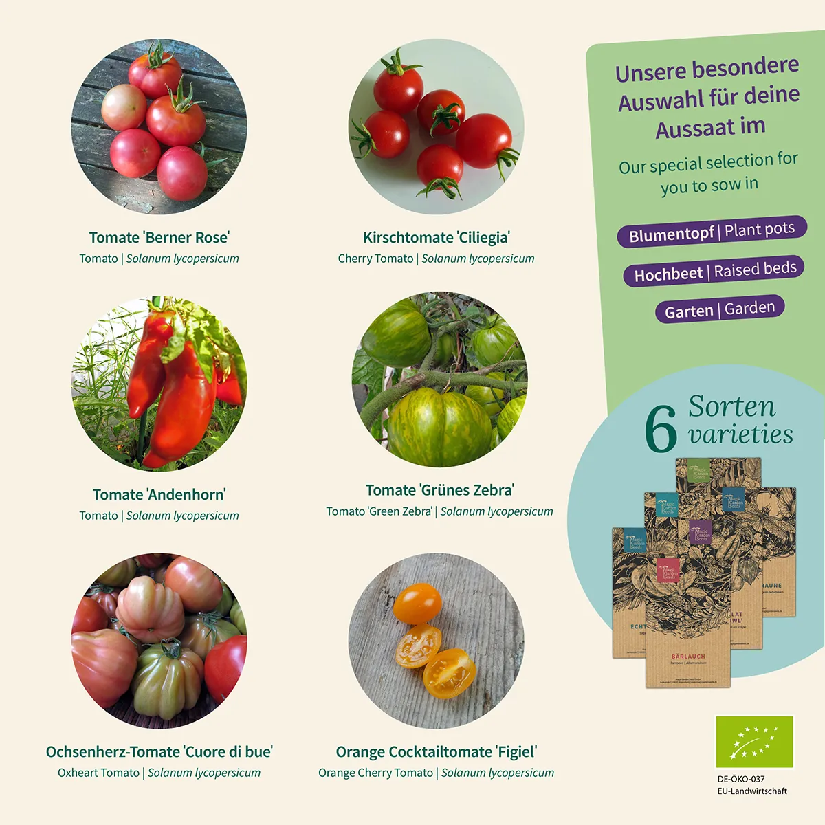 Bio-Tomaten: Bunt, aromatisch & historisch - Samenset Nr. 21