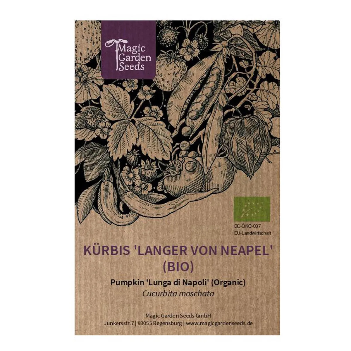 Kürbis 'Langer von Neapel' (Cucurbita moschata) Bio Saatgut