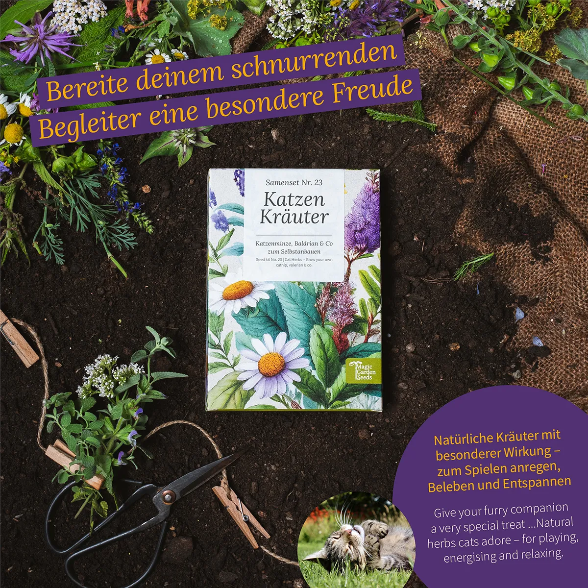 Katzen-Kräuter: Katzenminze, Baldrian & Katzengras zum Selbstanbauen – Samenset Nr. 23