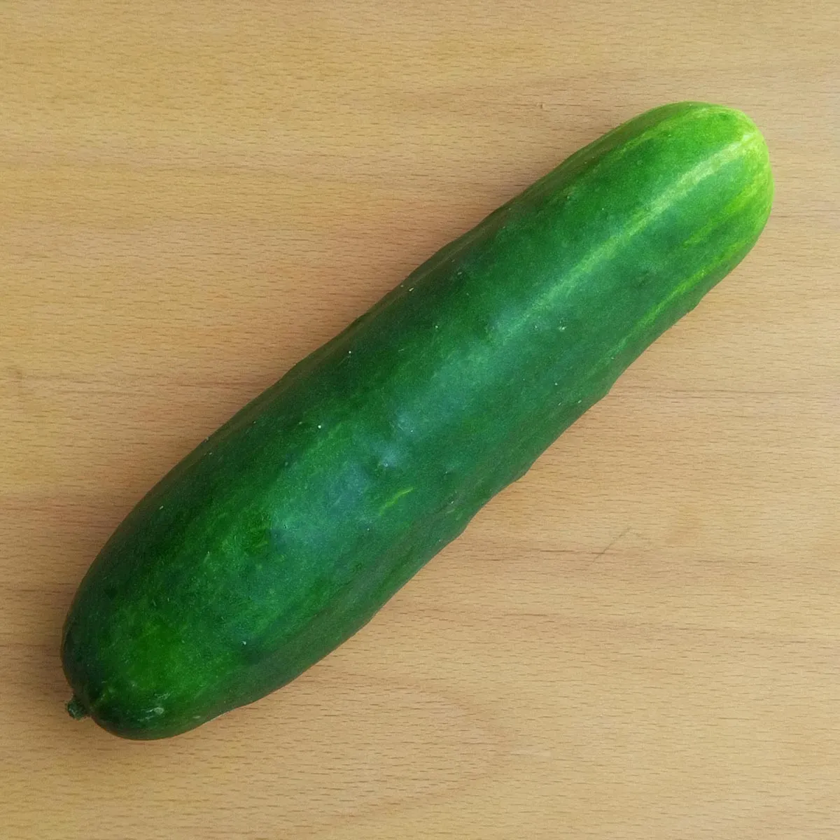 Gurke 'Marketmore’ (Cucumis sativus) Samen