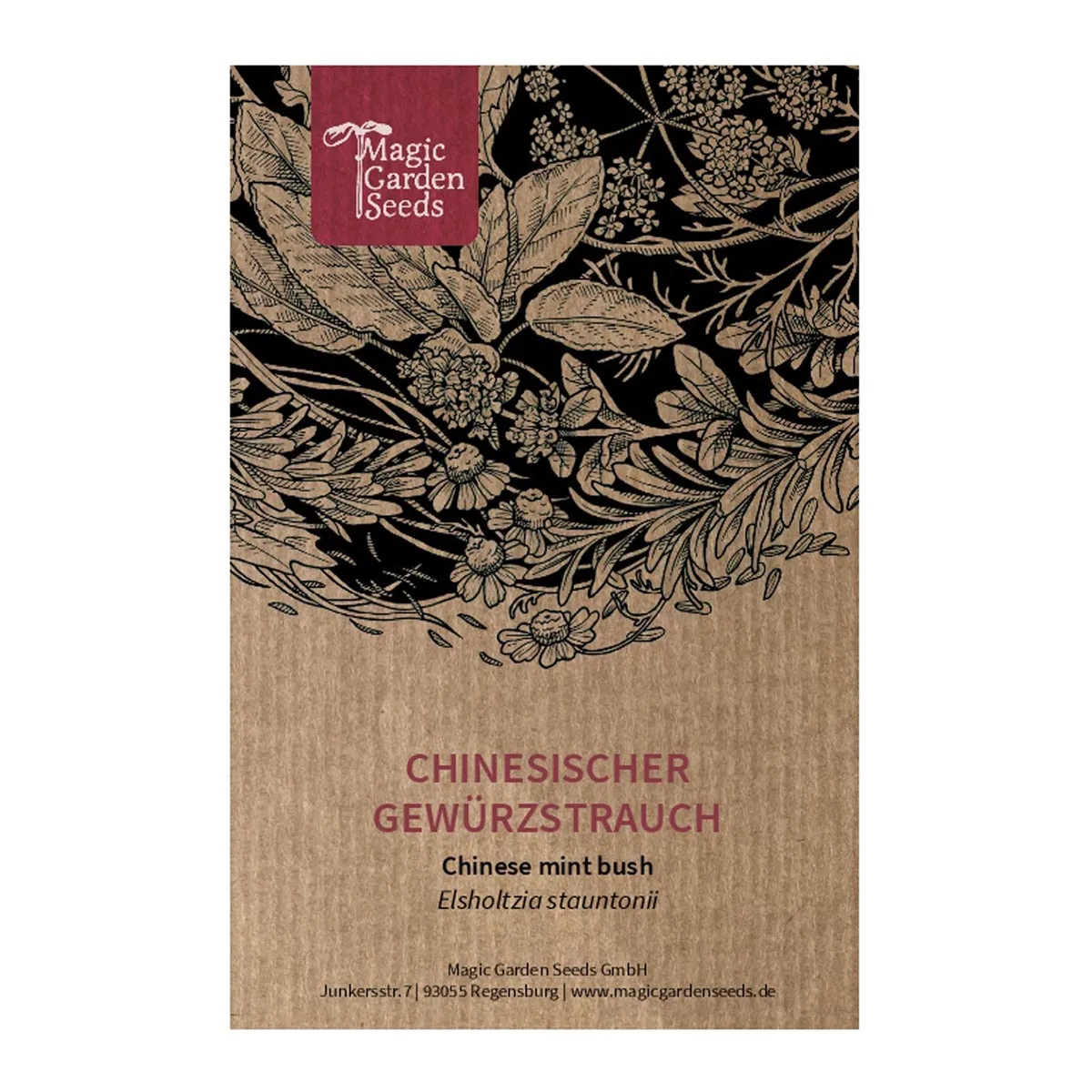 Chinesischer Gewürzstrauch (Elsholtzia stauntonii) Samen