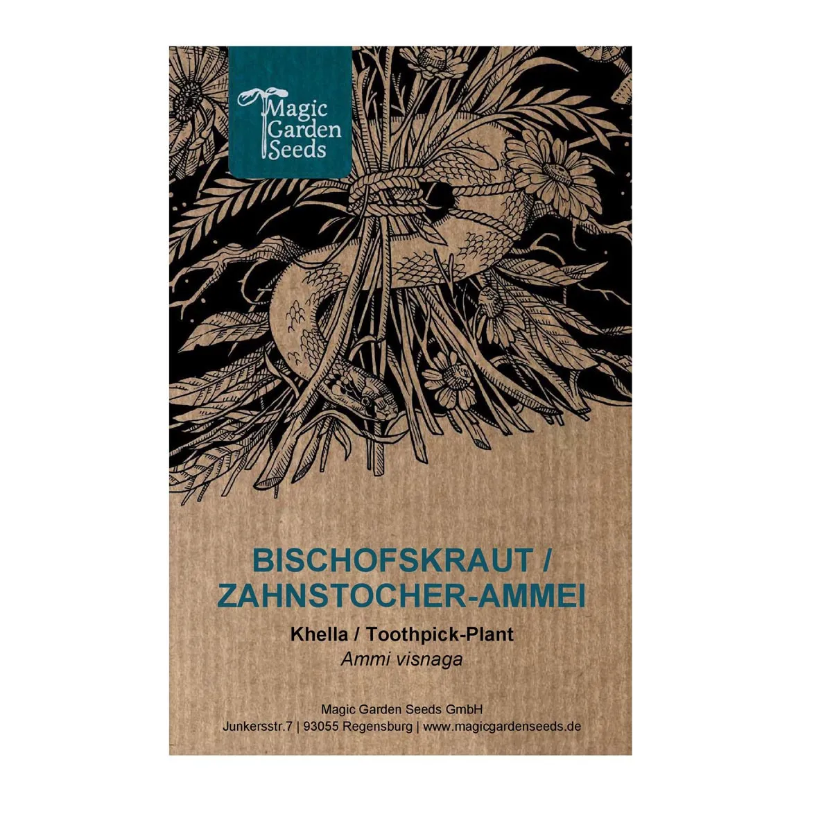 Bischofskraut / Zahnstocher-Ammei (Ammi visnaga) Samen