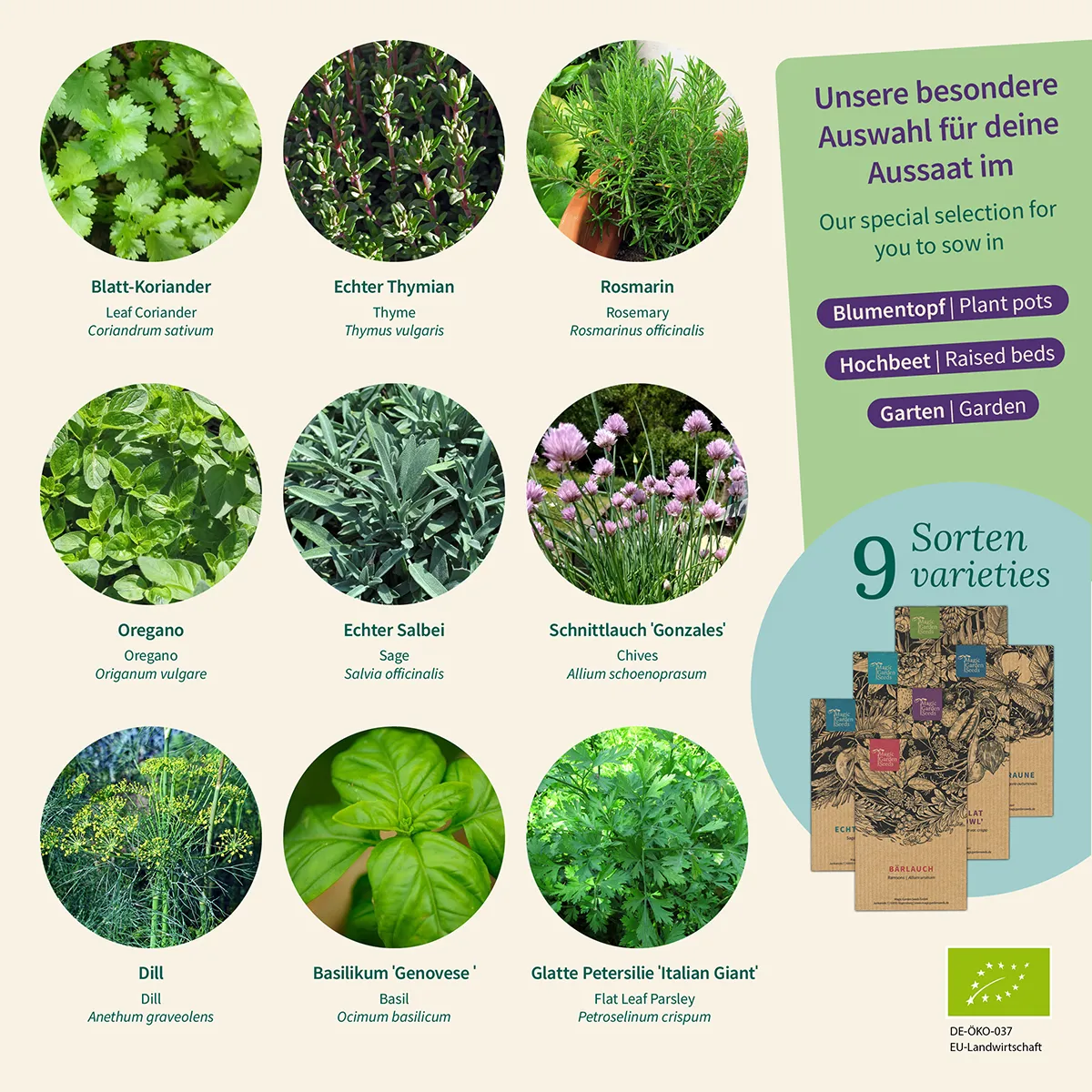 Küchen-Kräuter: Aromatische Bio-Klassiker für kreative Gerichte – Samenset Nr. 20