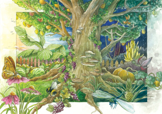 Unser magischer Garten - Magic Gaden Seeds - Ein magischer Garten der Fantasie