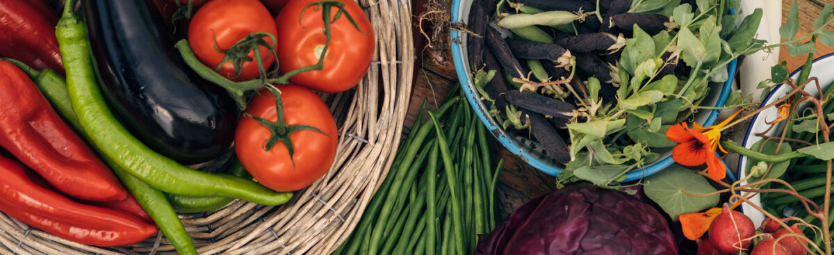 Gemüse haltbar machen – die besten Methoden im Überblick - Gemüse haltbar machen – die besten Methoden im Überblick