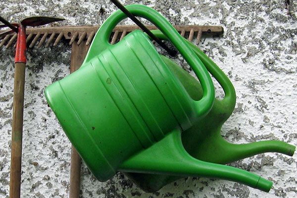 Nachhaltige Bewässerung auf dem Balkon – so versorgst Du Deine Pflanzen im Einklang mit der Natur - Balkonpflanzen richtig gießen: Nachhaltige Bewässerung leicht gemacht