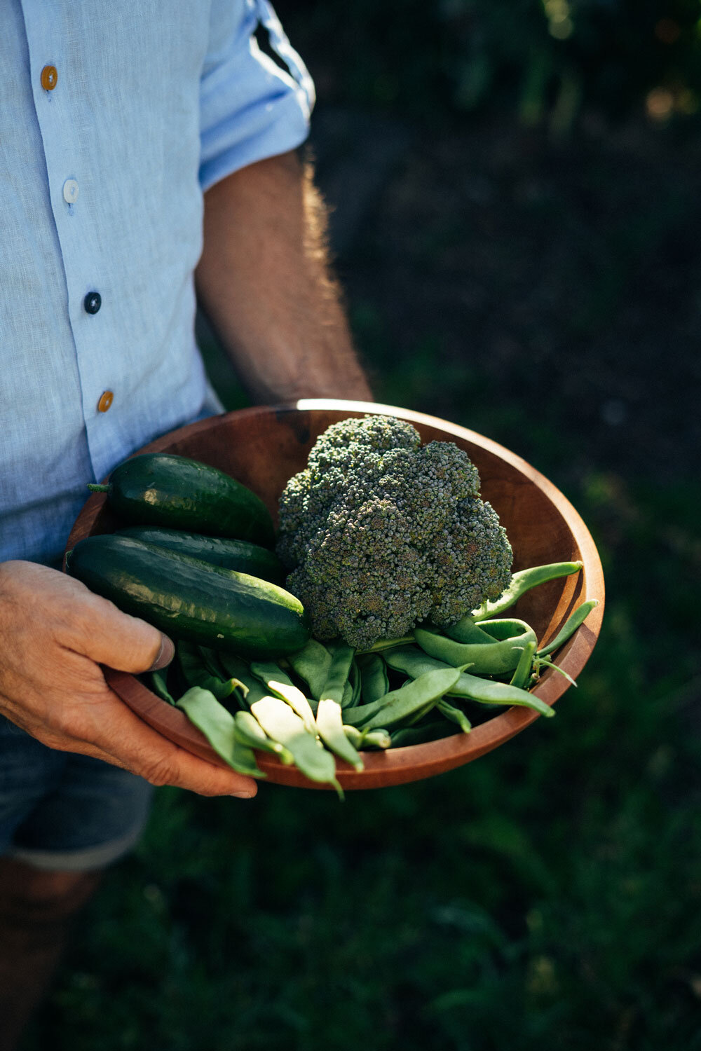 Taegliche Gemueseernte im eigenen Garten