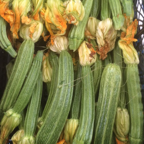Zucchinis