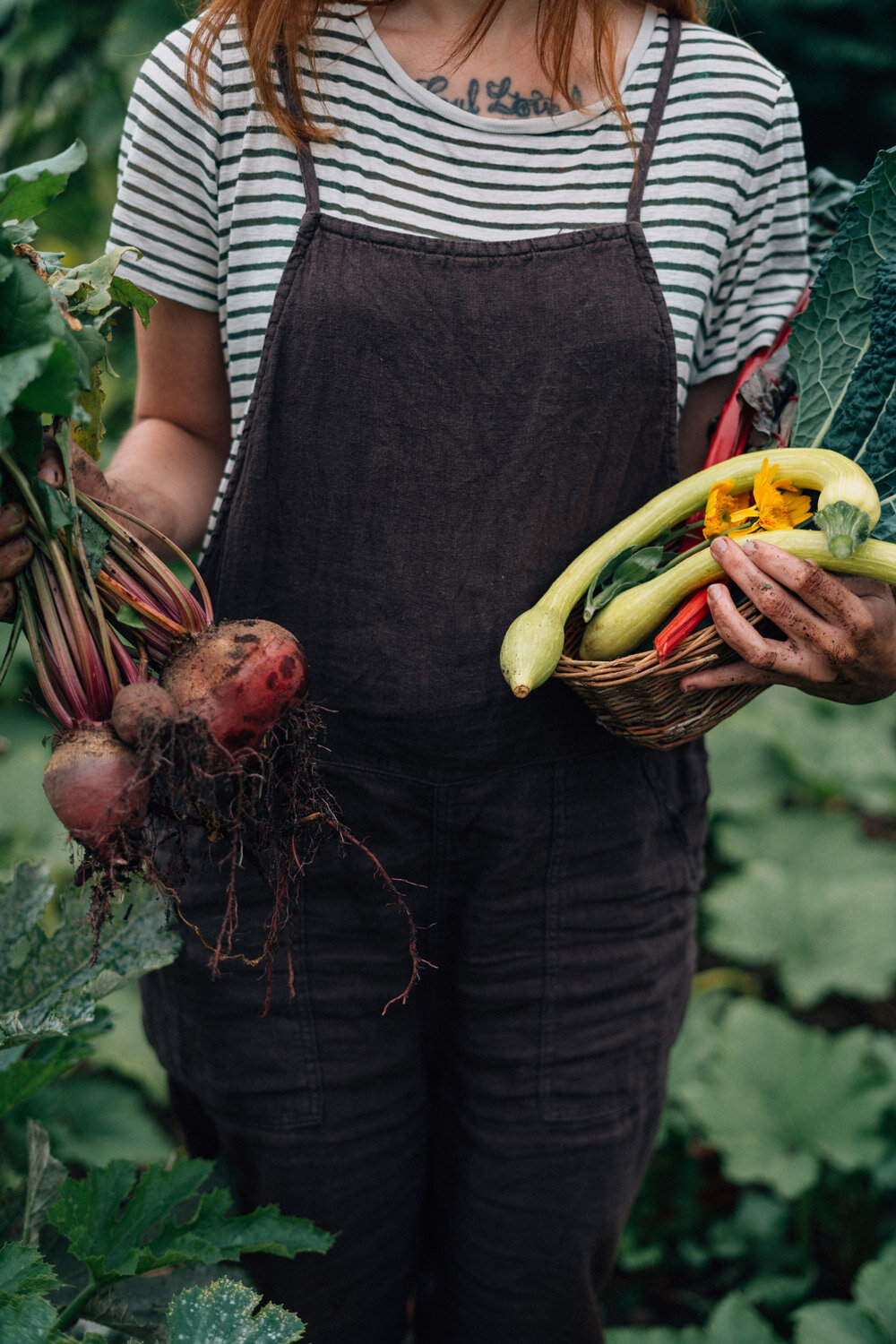 Gemuese gerade frisch geerntet